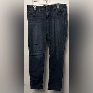 Democracy Indigo Straight Jeans